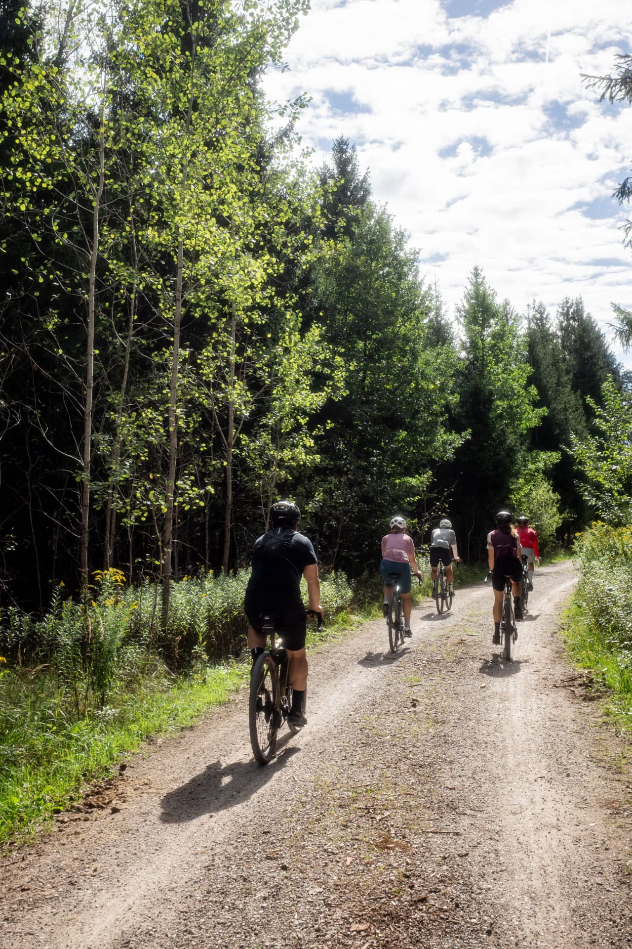 Gruppe fährt auf einem Schotterweg durch den Wald