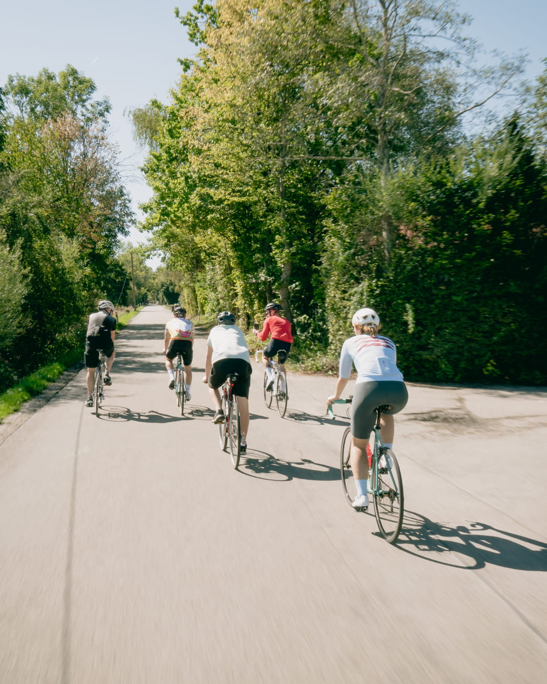 Gruppe fährt auf einer von Bäumen gesäumten Straße